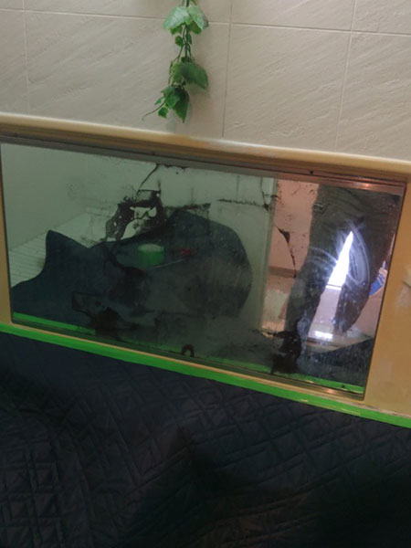 �����X�e�b�v